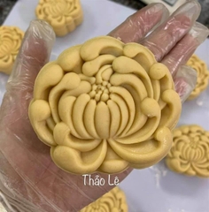 Khuôn Lò Xo TT - Hoa Cúc - 1 Mặt - 50g