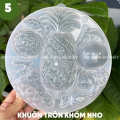 Khuôn Nhựa Cứng VT - 20cm - M05