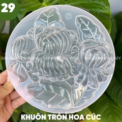 Khuôn Nhựa Cứng VT - 20cm - M29