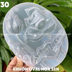 Khuôn Nhựa Cứng VT - 20cm - M30