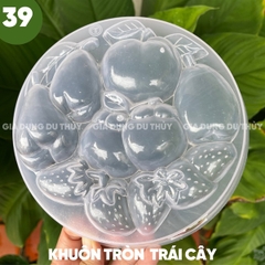 Khuôn Nhựa Cứng VT - 20cm - M39