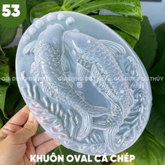 Khuôn Nhựa Cứng VT - 20cm - M53 - Cá Chép 2c