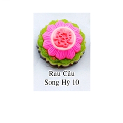 Khuôn Nhựa RCNL - NL10 - Chữ Hỷ