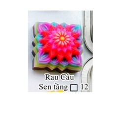 Khuôn Nhựa RCNL - NL12 - Vuông Sen Tầng