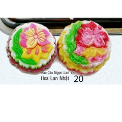 Khuôn Nhựa RCNL - NL20 - Lan Nhật