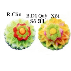 Khuôn Nhựa RCNL - NL31 - Dã Quỳ