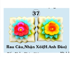 Khuôn Nhựa RCNL - NL37 - Vuông Anh Đào