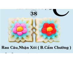 Khuôn Nhựa RCNL - NL38 - Vuông Cẩm Chướng