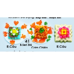 Khuôn Nhựa RCNL - NL41 - Vuông Sen Đá