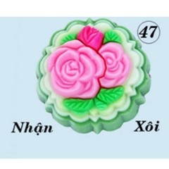 Khuôn Nhựa RCNL - NL47 - Hồng Chùm 2 Lá