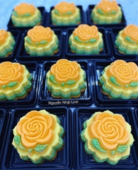 Khuôn Nhựa RCVT - RT02 - Hồng 1c Kèm Lá