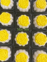 Khuôn Nhựa RCVT - RT02 - Hồng 1c Kèm Lá