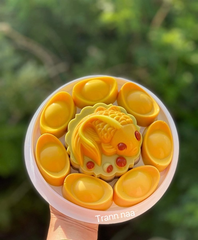 Khuôn Nhựa RCVT - RT34 - Cá VT