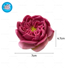 Khuôn Silicon - Hoa Hồng Lai - Hồng Anh - 7cm