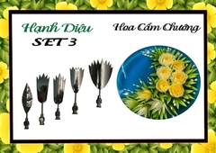 Kim 3D Inox - Bộ 5 - Mẫu 03 Hoa Cẩm Chướng