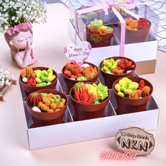 Ly Nhựa - Tròn Chậu Cốc Nâu Kèm Xẻng - Nắp Cầu