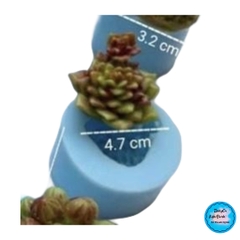 Khuôn Silicon - Sen Đá ĐỨNG  - Set - #6 4.7x4.8cm