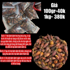 Tạo Màu TN - Hạt Dành Dành