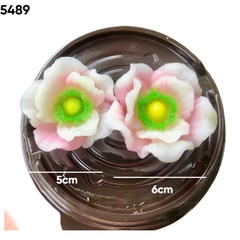 Khuôn Silicon - Hoa Cánh Bướm - Set 2