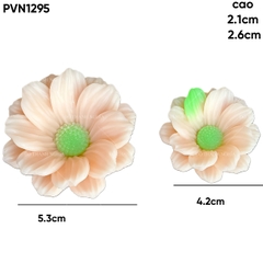 Khuôn Silicon Cúc Phi Set 2 95k
