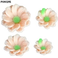 Khuôn Silicon Cúc Phi Set 2 95k