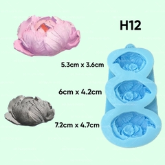 Khuôn Silicon - Hoa Hàn Quốc - H12