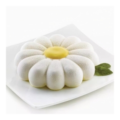 Khuôn Silicon - Vĩ Đế Hoa Mai 12 Cánh 6cm