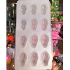 Vĩ Nhựa PP - Động Vật - 12c - Con Thỏ