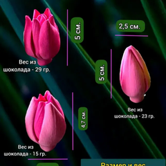 Khuôn Silicon - Tulip Mới Hoa Nhỏ Nụ 4.3cm