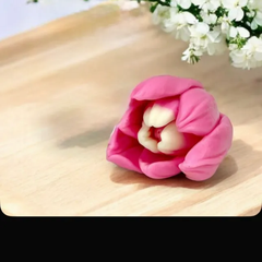 Khuôn Silicon - Tulip Mới Hoa 5 Cm