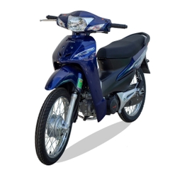 Xe victoria 50cc xanh than