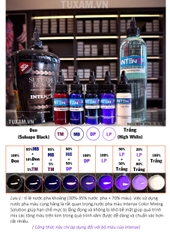Set Màu INTENZE - Bảng Xanh Tím - Đầy Đủ
