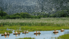 HALAL LUXURY NINH BINH TOUR- HOA LU – TAM COC – MUA CAVE ( 10 Pax)