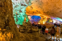 Cozy Bay Premium Cruise 5★ – Ha Long Bay Day Tour