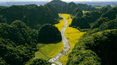 GROUP TOUR HOA LU – TAM COC – MUA CAVE BY LUXURY LIMOUSINE