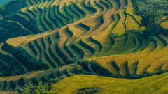 3 Days 2 Nights Private group Sapa Halal Tour ( 10 Pax)