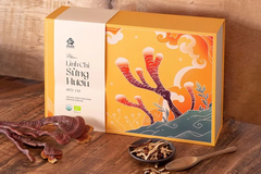 Hộp Quà - Linh Chi Sừng Hươu - Organic - Nguyên chiếc 500g
