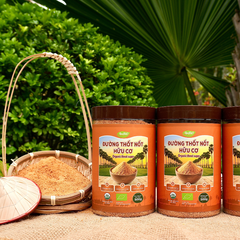 Đường thốt nốt hữu cơ AnBiO 500g