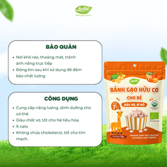 Bánh gạo hữu cơ AnBiO Vị Đậu gà - Bí đỏ 15g
