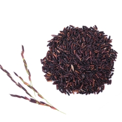 Gạo Lứt tím HC Hoa Nắng (1Kg)