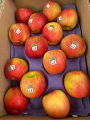 Táo tươi hữu cơ Evercrisp Mỹ 2A-56