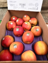 Táo tươi hữu cơ Evercrisp Mỹ 2A-56