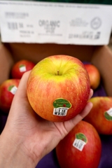 Táo tươi hữu cơ Evercrisp Mỹ 2A-56