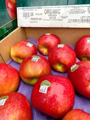 Táo tươi hữu cơ Evercrisp Mỹ 3A-28