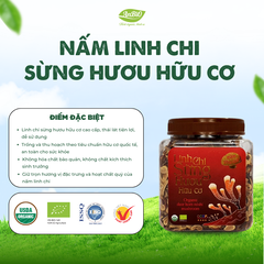 Nấm Linh Chi Sừng Hươu - Organic nguyên chiếc/thái lát 300g/500g