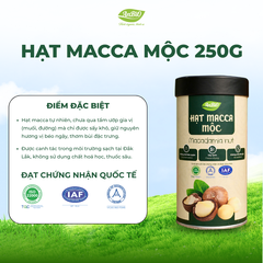 Hạt Macca Mộc - 250g (Hộp Tròn)