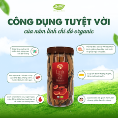 Nấm Linh Chi đỏ Organic thái lát/nguyên chiếc (Hộp)