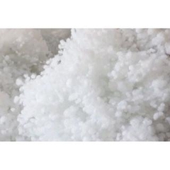 [Bông bán Len] Bông hạt nhồi thú, đệm Thú Bông Thú Nhồi Bông và Đồ Chơi Toy Phát Nhạc