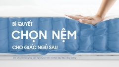 Các loại nệm phổ biến và cách chọn nệm phù hợp cho giấc ngủ chất lượng