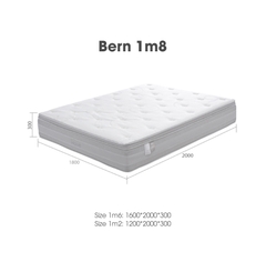 NỆM BERN
